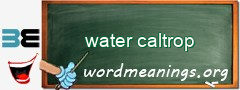 WordMeaning blackboard for water caltrop